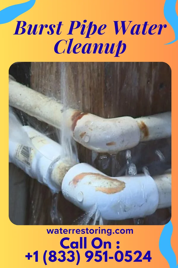 Burst Pipe Water Cleanup in Jamesport, MO