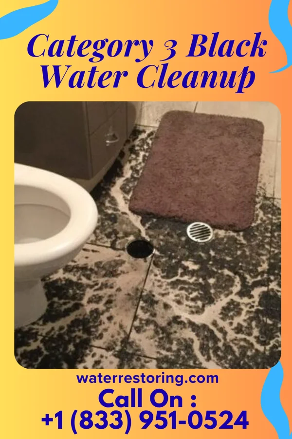 Category 3 Black Water Cleanup in Jamesport, MO