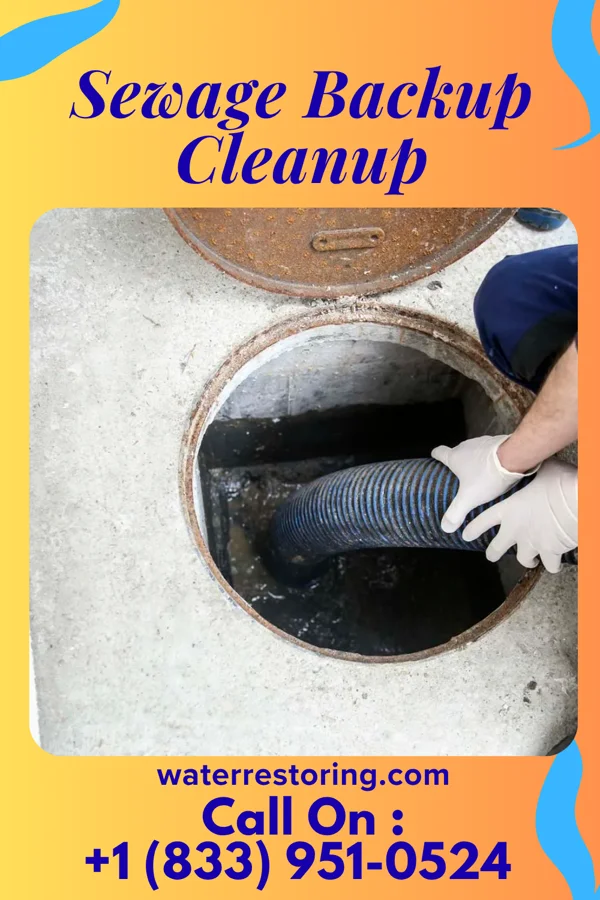 Sewage Backup Cleanup in Jamesport, MO